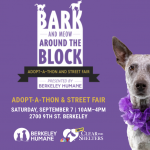 Promotional event image for "Bark & Meow Around the Block" Adopt-a-thon and Street Fair by Berkeley Humane. The event is scheduled for Saturday, September 7, from 10 AM to 4 PM. The image showcases a cat and dog in flower collars on a purple backdrop, highlighting local pet services.